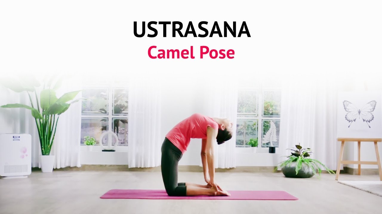 How To Do Ustrasana - Camel Pose ? | Benefits | Steps | Yogic Fitness | Art of Living Yoga