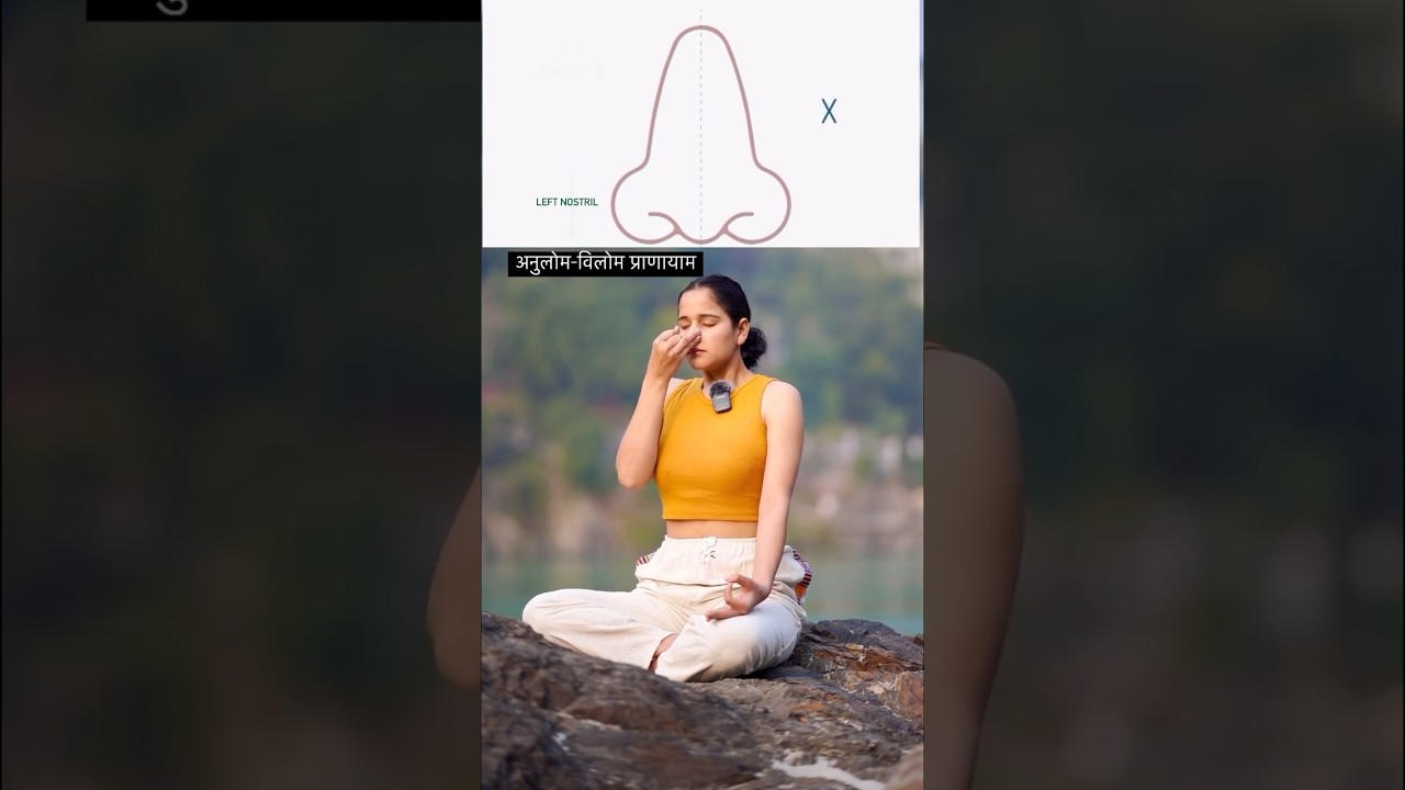 How to do proper anulom vilom pranayama #anulomaviloma #pranayama #meditation #shortvideo #yoga