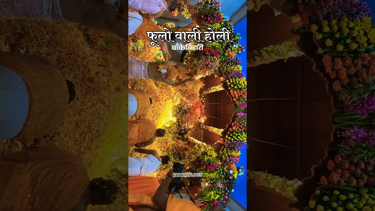 फूलों वाली होली बाँकेबिहारी #shortsvideo #shortsyoutube #holi #vrindavan #bankebihari #barsana #up